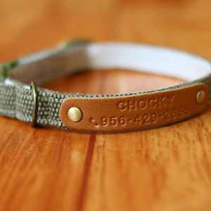 Pu&ograve; includere: Un collare per cani in tela marrone e verde con un'etichetta in pelle marrone su cui &egrave; scritto "Chocky" e un numero di telefono.