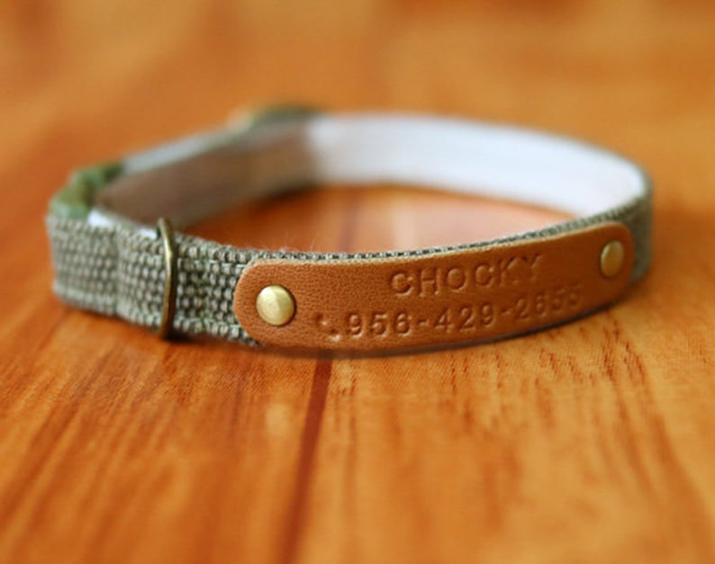 Pu&ograve; includere: Un collare per cani in tela marrone e verde con un'etichetta in pelle marrone su cui &egrave; scritto "Chocky" e un numero di telefono.