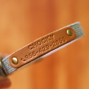 May include: A gray and brown dog collar with a leather tag that reads "Chocky 1956 429 2655".