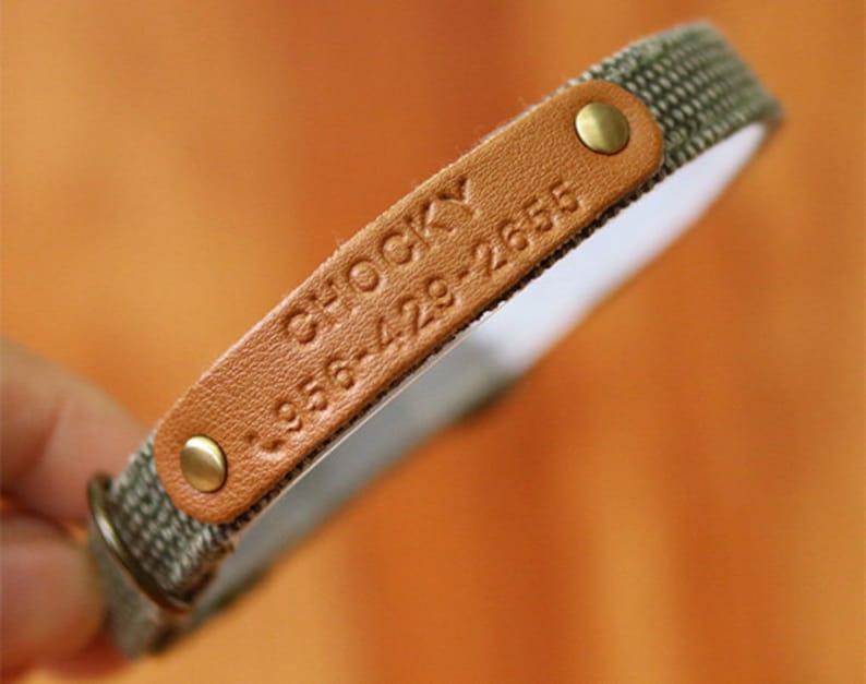 Pu&ograve; includere: Un collare per cani in pelle marrone con retro in tessuto verde. Il collare ha il nome "Chocky" e il numero di telefono "958-428-2655" in rilievo.