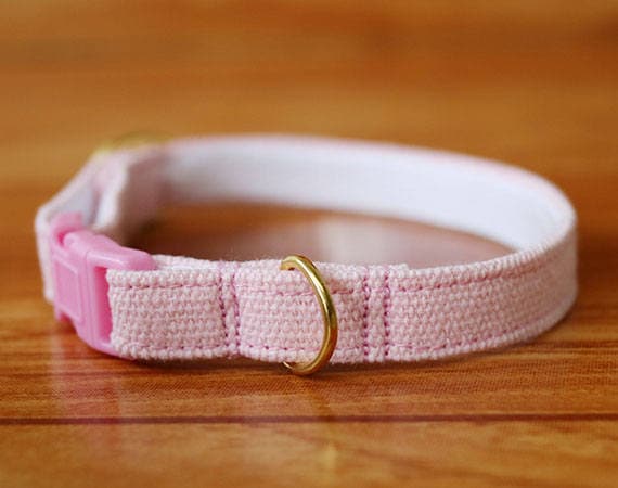 pastel cat collar