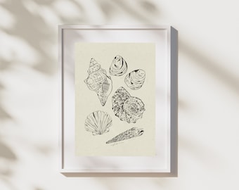 Shell Sketches Digital Print \\ Digital Download Wall Art