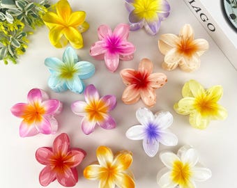 Colorful Plumeria Hair Clip