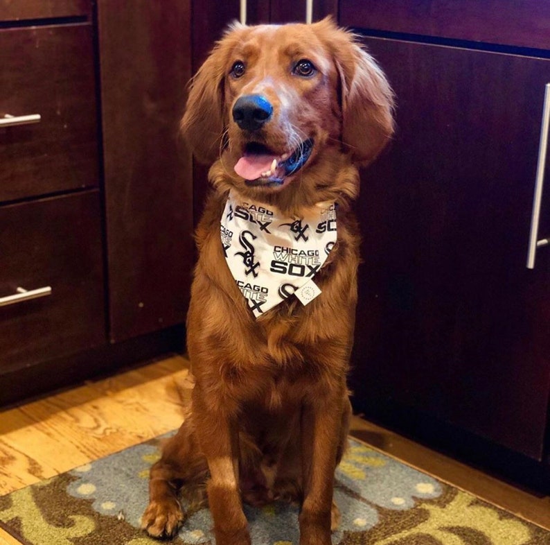White Sox Bandana