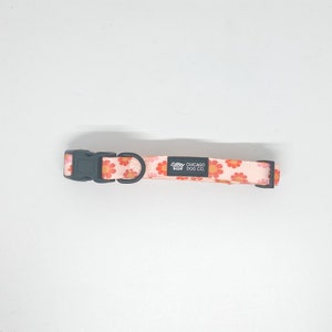 Flower Power Dog Collar & Leash