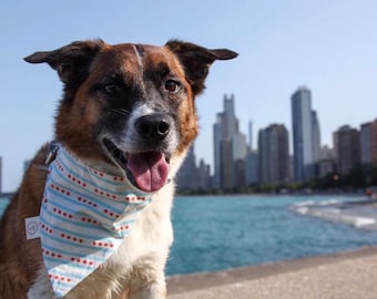 Chicago Flag Bandana