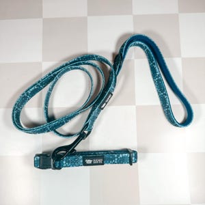 May include: A teal blue dog collar and leash set with a black buckle and a white "Chicago Dog Co." logo on the collar.