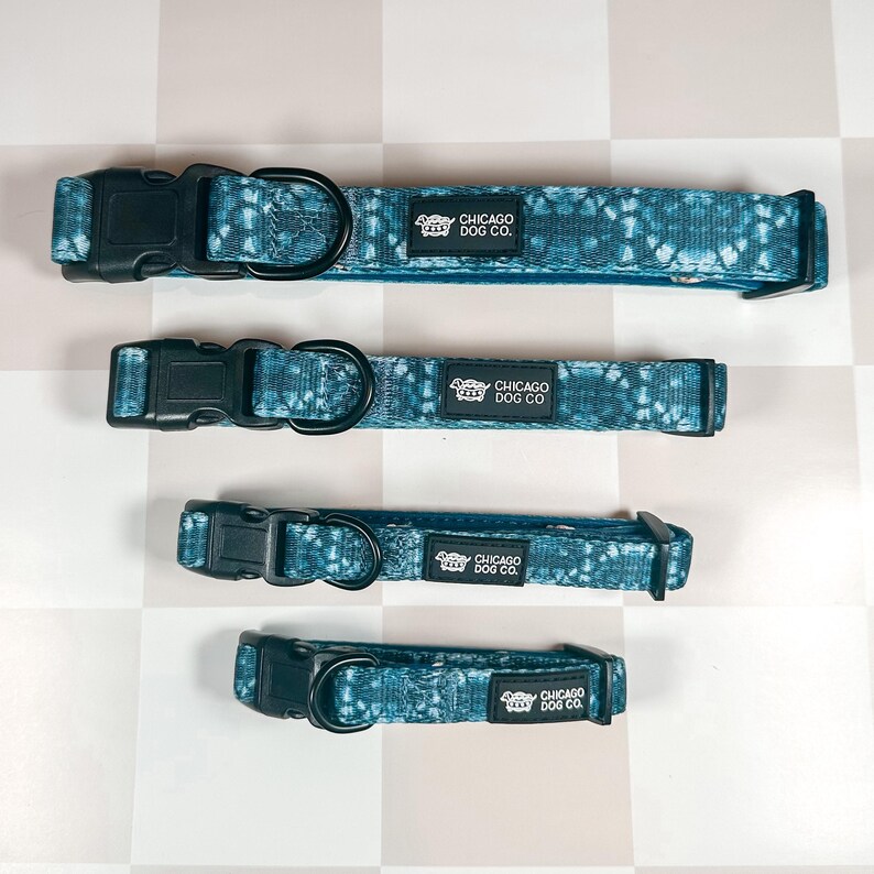 May include: Four blue and white patterned dog collars with black buckles and the text "Chicago Dog Co."