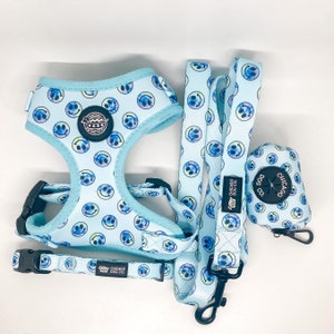 Tie Dye Smiley Harness, Collar, Leash and Poop Bag Holder Bundle