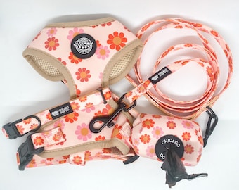 Flower Power Harness, Collar, Leash and Poop Bag Holder Bundle