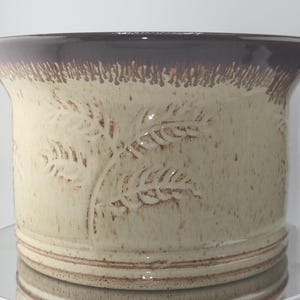 May include: A ceramic planter with a wide, slightly flared rim. The rim is dark brown, contrasting with the light beige body. The body features a raised leaf design. The planter is suitable for indoor or outdoor use.