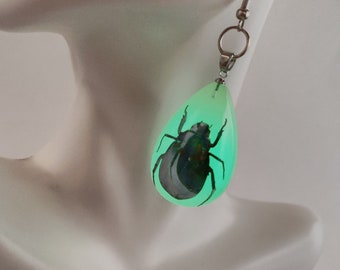 Halloween Glow in the Dark Beetle Earrings