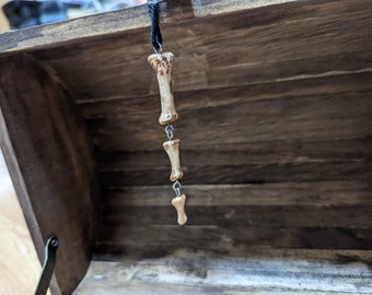 Human finger bone necklace