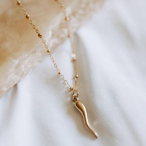 Italian horn necklace, gold filled Italian horn necklace, horn necklace, layering necklace, dainty necklace, gift for her, necklaces for her