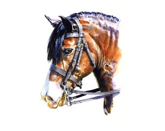Custom Pet Portrait,Custom Oil Painting,Pet Oil Painting,Pet Portrait Oil Painting,Custom Watercolour Pet Portrait,Horse Oil Portrait