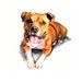 see more listings in the Dog Full Body section