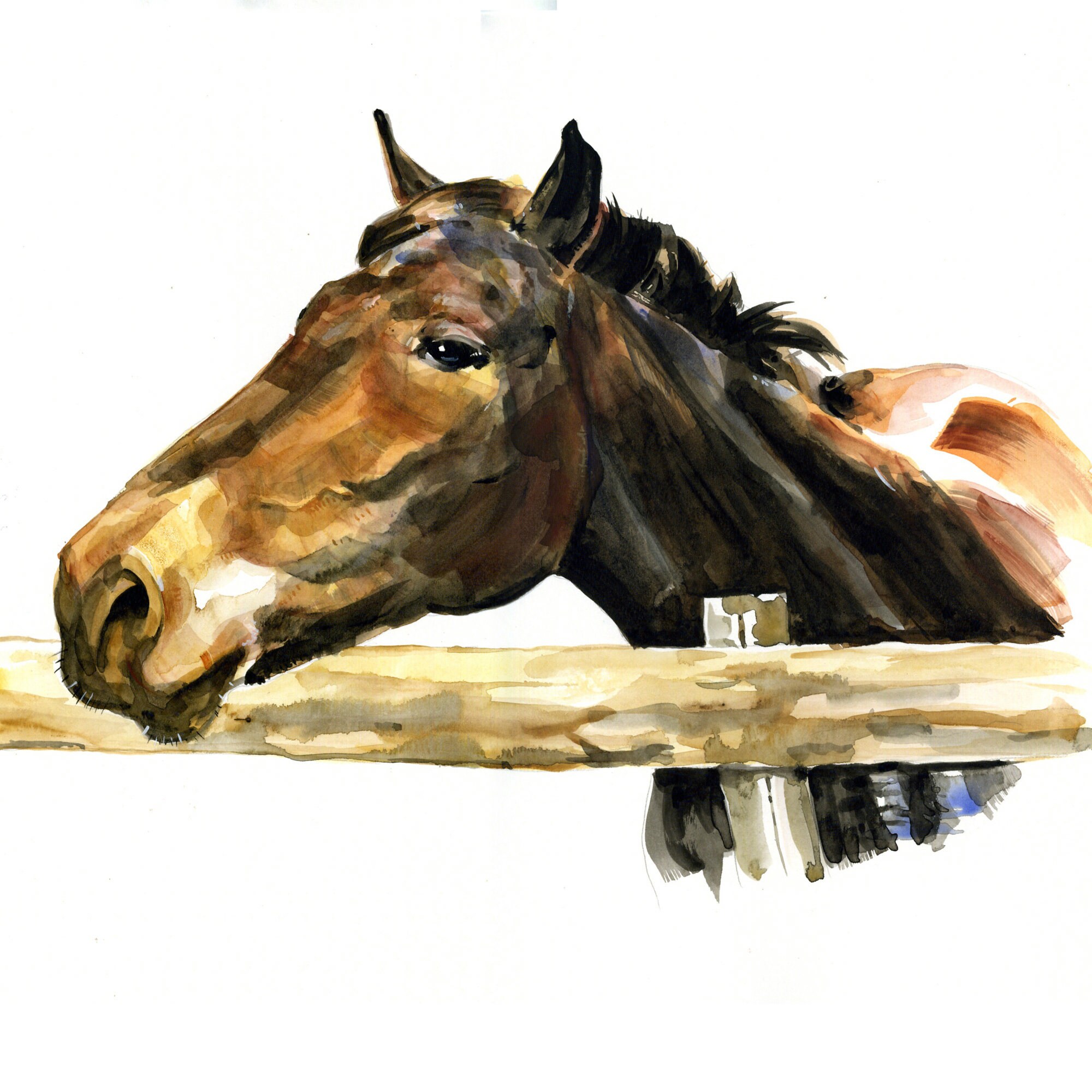 Art & Collectibles Painting Custom HORSE Painting Horse Artist Horse