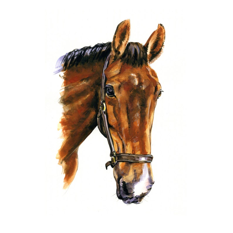 Custom Pet Portrait,Custom Oil Painting,Pet Oil Painting,Pet Portrait Oil Painting,Custom Watercolour Pet Portrait,Horse Oil Portrait image 2