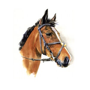 Custom Pet Portrait,Custom Oil Painting,Pet Oil Painting,Pet Portrait Oil Painting,Custom Watercolour Pet Portrait,Horse Oil Portrait image 6