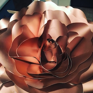 Riesige Papierblumen