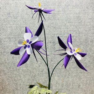 May include: Three purple and white columbine flowers with yellow centers on green stems against a gray background.