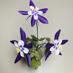 Paper Columbine