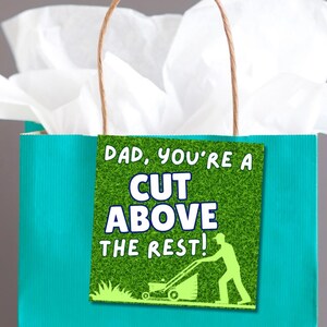 Op de afbeelding: Een turquoise cadeautas met een label met de tekst "Papa, je bent een klasse apart!". Het label heeft een groene grasachtergrond en een silhouet van een persoon die het gazon maait. Wit vloeipapier en bruine handvatten maken de cadeautas compleet.
