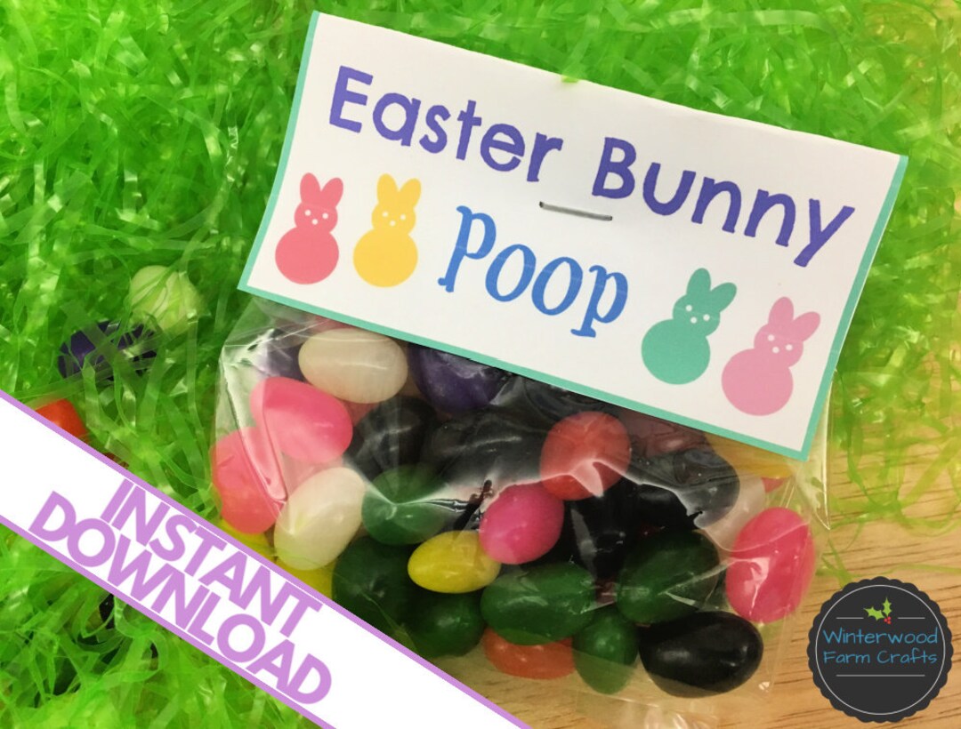 EASTER BUNNY POOP Printable Bag Topper Tags Easter Basket Holiday Party Favors Class Gifts