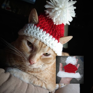 Santa Hat/Beanie for Cats, Kittens, & Small Dogs (Handmade Crochet)