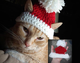 Santa Hat/Beanie for Cats, Kittens, & Small Dogs (Handmade Crochet)