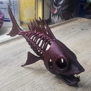Op de afbeelding: Een 3D-geprint vis skeletmodel in een diepe bordeauxrode kleur. Het model is gedetailleerd met ribben, een wervelkolom en een schedel. De vis heeft een licht geopende mond met zichtbare tanden.