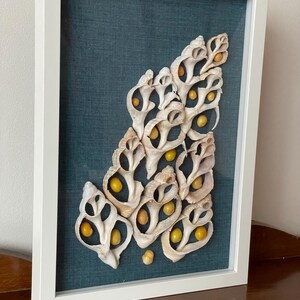 Könnte beinhalten: Ein gerahmtes Kunstwerk mit einer einzigartigen Anordnung von Muscheln und gelben Perlen, die ein strukturiertes und organisches Design auf einem dunkelblauen Hintergrund schaffen.