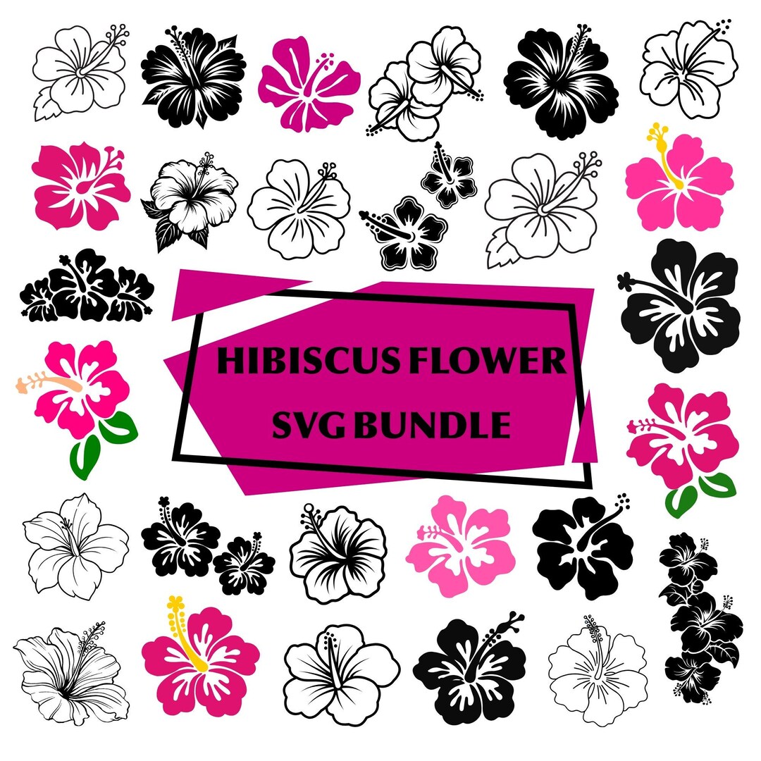 Hibiscus Flowers Svg Bundle: Tropical Floral Clipart,digital Files ...