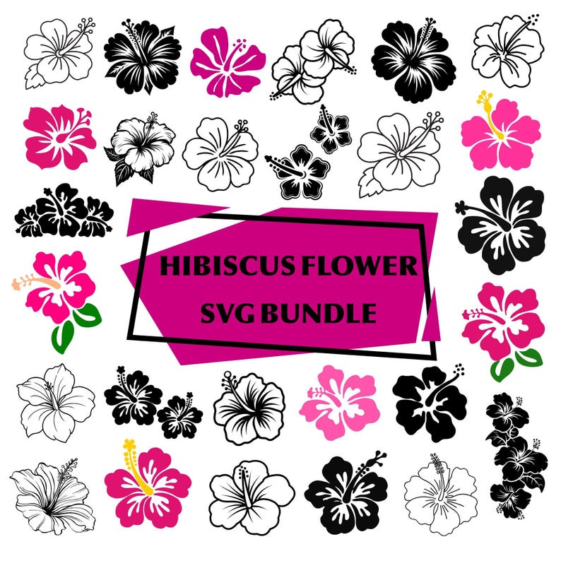 Hibiscus Flowers Svg Bundle: Tropical Floral Clipart,digital Files ...