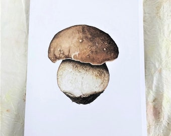 Boletus edulis, Porcini mushroom card