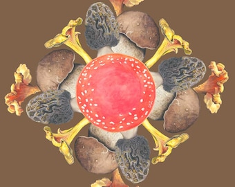 Mushroom Mandala,  fine art print of original watercolors by Julie Hamilton, botanical Illustration, culinary art,