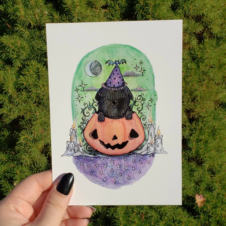 Shaggy Black Dog in Pumpkin Print 5 x 7