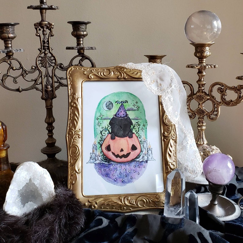 Shaggy Black Dog in Pumpkin Print 5 x 7