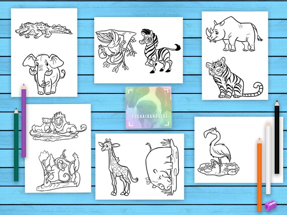 107  Cute Zoo Coloring Pages  HD