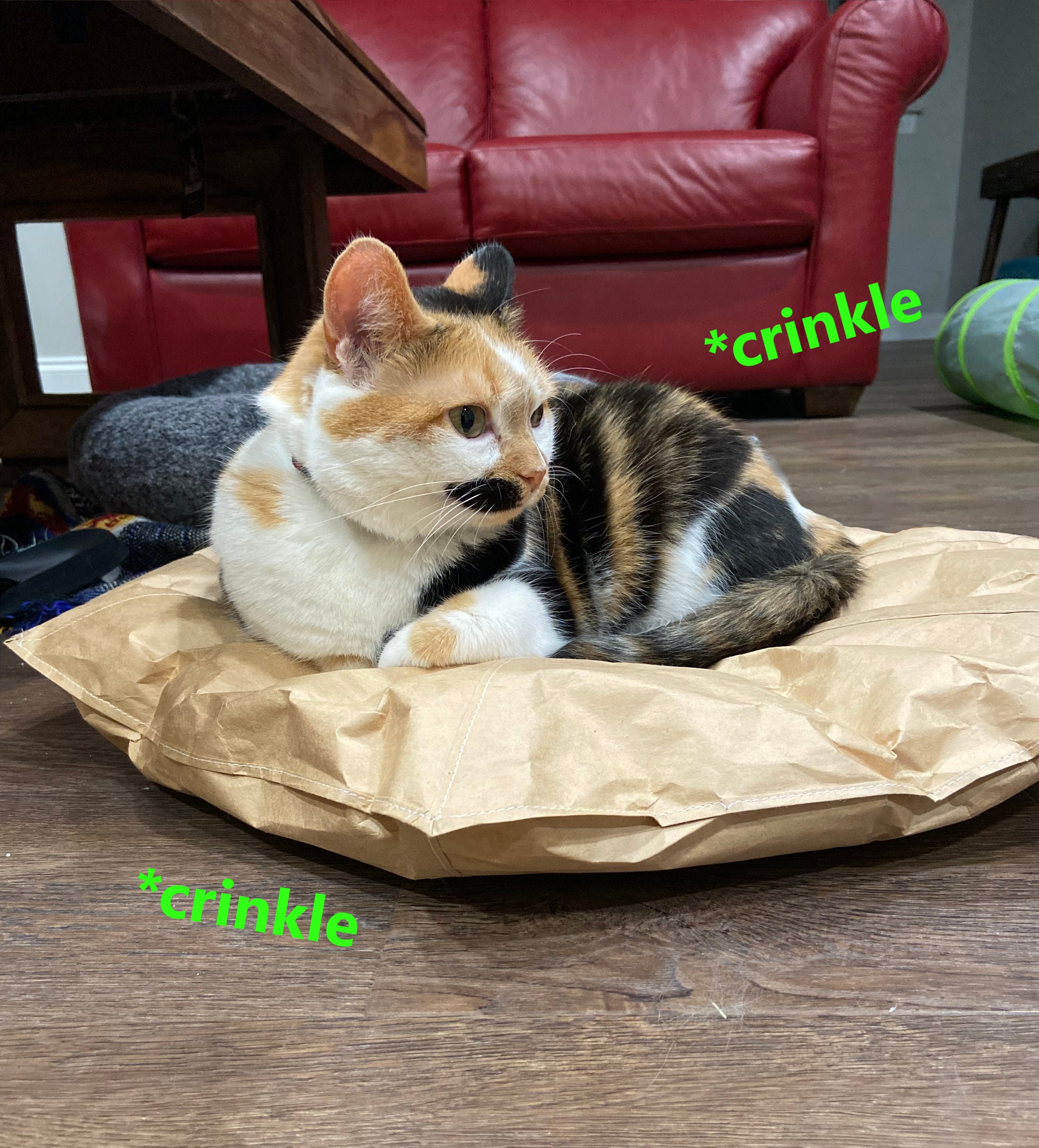 Diy cat top crinkle sack