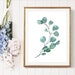 Watercolor Greenery Printable Set of 3 Plants Art Set Prints - Etsy