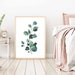 Watercolor Greenery Printable Set of 3 Plants Art Set Prints - Etsy