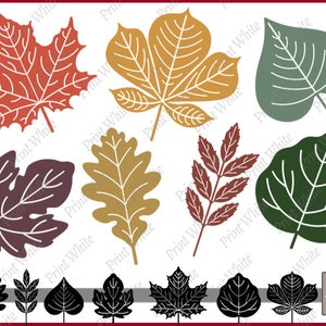 Leaf Svg Fall Leaves Svg Fall Svg Leaves Clipart Maple Leaf Svg Autumn Leaves Svg Leaves Cut File Cricut Cutting File Leaf Vector Autumn Svg