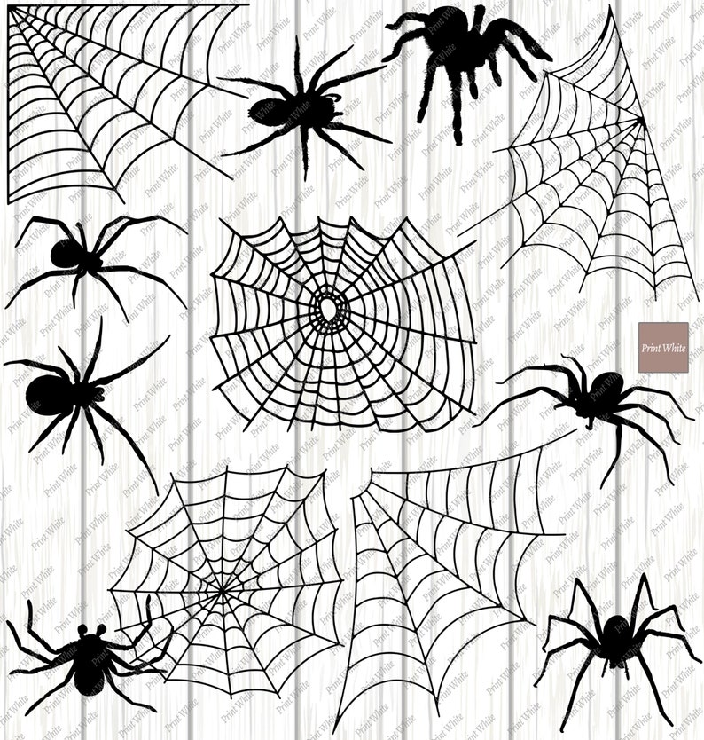 Download Spiders Svg Png Dxf Tarantula Cut File Spider Web Clipart | Etsy