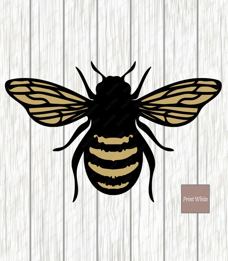 Download Bee Svg Bundle Honeycomb Svg Honey Dipper Cut File Cricut | Etsy