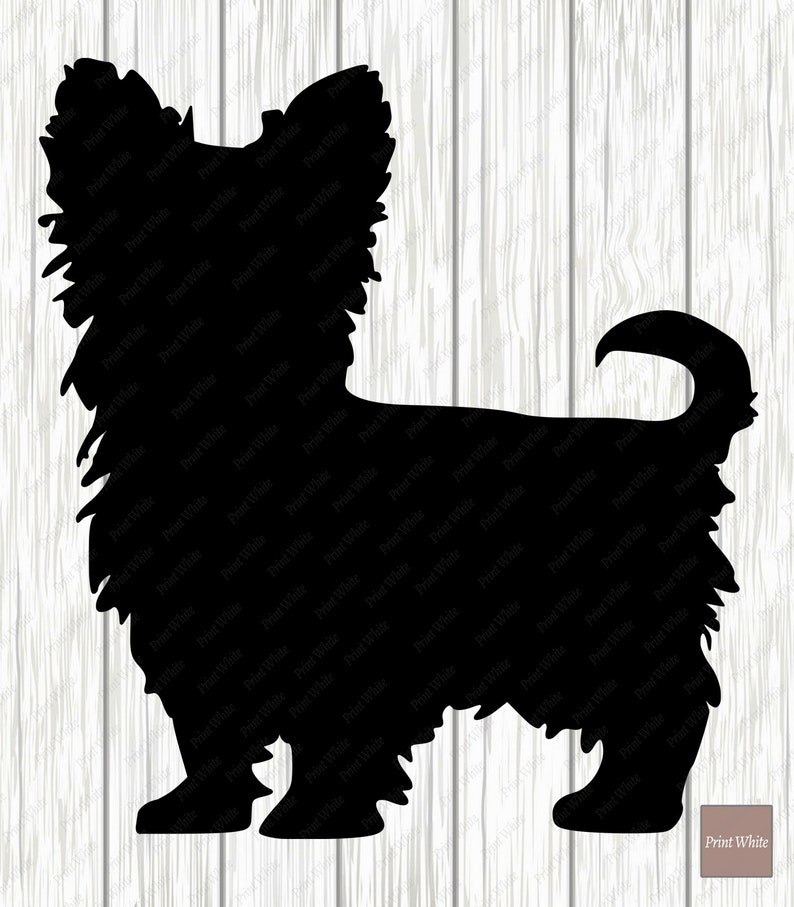 Download Yorkie Svg Dxf Png Yorkshire Terrier Silhouette Cut File ...