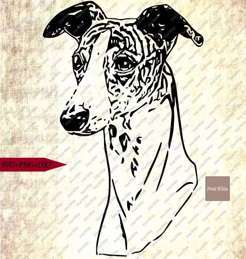 Download Whippet Greyhound Face Svg Png Dxf Dog Portrait Cut File ...