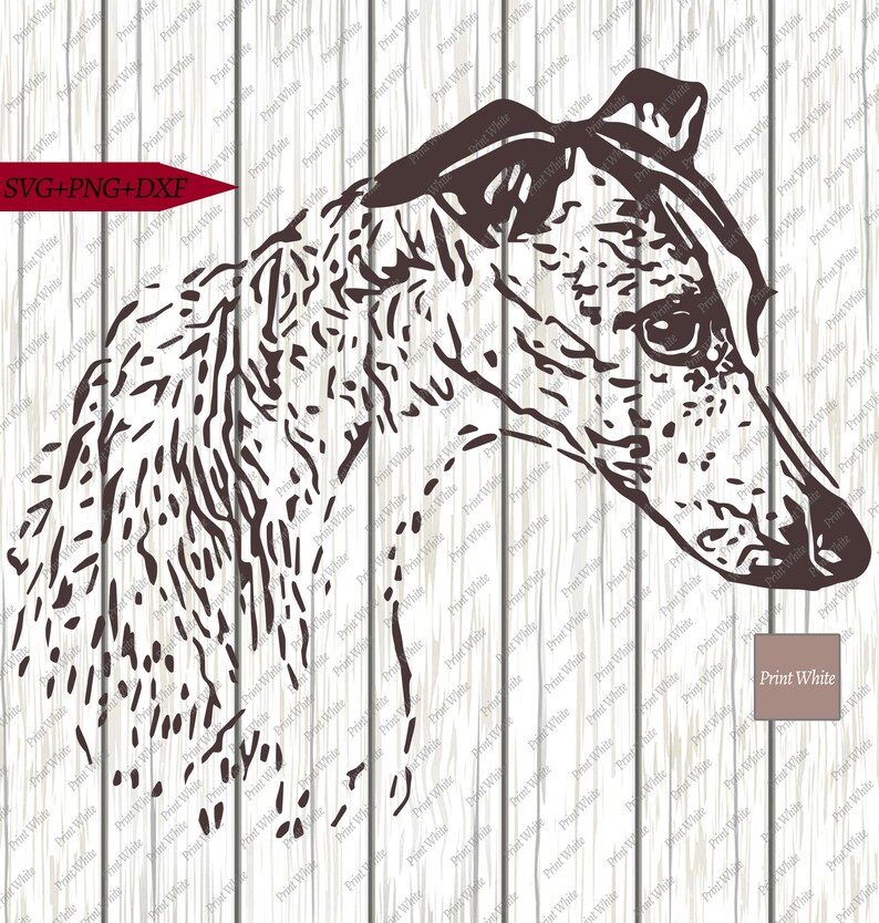 Download Whippet Greyhound Face Svg Png Dxf Dog Portrait Cut File ...