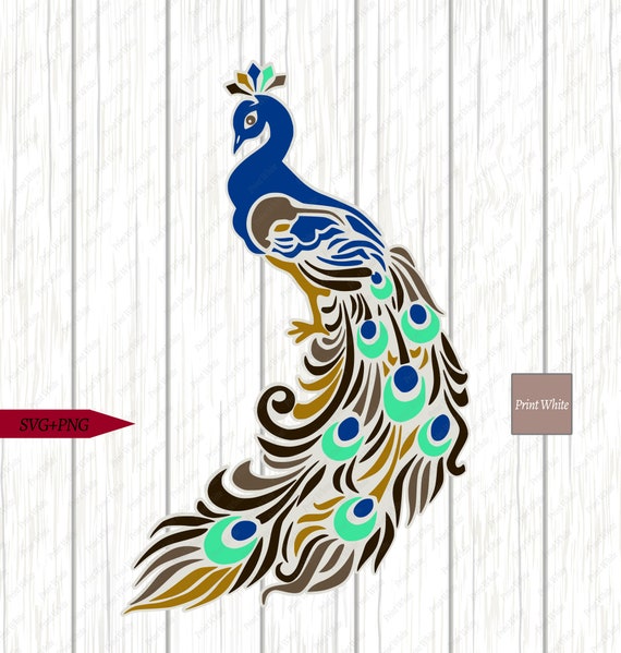 Peacock Envelope-Maker - plexi - Schleiper - Complete online catalogue