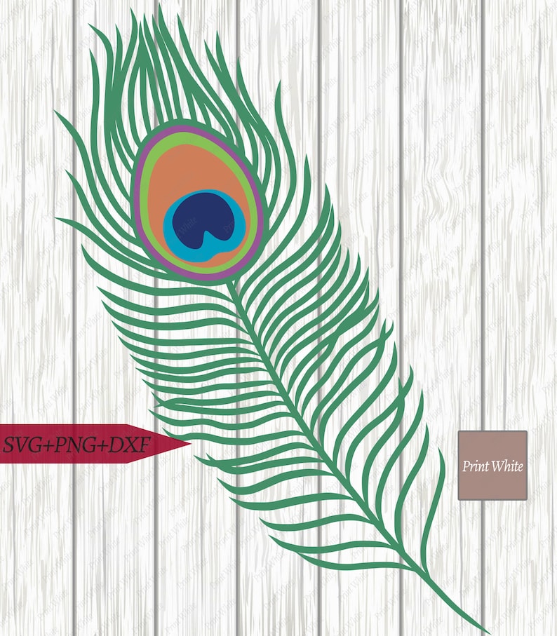 Free Free Feather Svg File Free 595 SVG PNG EPS DXF File